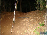 Trilheiros noturnos em Maracaju