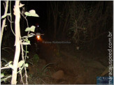 Trilheiros noturnos em Maracaju