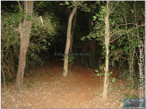 Trilheiros noturnos em Maracaju