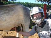 Rota da Serra Moto Clube esteve na Ilha Solteira.