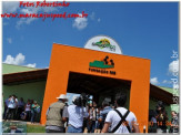 Fotos Showtec 2010 