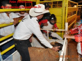 Fotos do 3º dia da 5ª Etapa Maracaju de Rodeio Nacional 