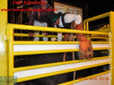 Público lotou arquibancadas na abertura da 5ª Etapa Maracaju de Rodeio Nacional