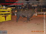 Fotos do 4º dia da 5ª Etapa Maracaju de Rodeio Nacional (último dia de festa) 