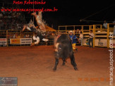 Fotos do 4º dia da 5ª Etapa Maracaju de Rodeio Nacional (último dia de festa) 