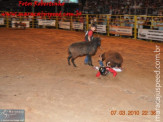 Fotos do 4º dia da 5ª Etapa Maracaju de Rodeio Nacional (último dia de festa) 