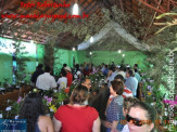 Fotos Festa da Linguiça dia 02/05/2010
