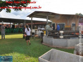 Fotos Festa da Linguiça dia 30/04/2010