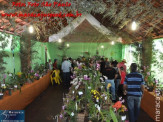 Fotos Festa da Linguiça dia 02/05/2010