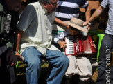 Fotos Festa da Linguiça dia 02/05/2010