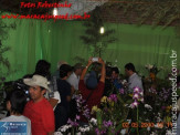 Fotos Festa da Linguiça dia 02/05/2010