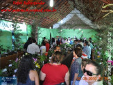 Fotos Festa da Linguiça dia 02/05/2010