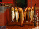 Pescadores de Maracaju, quem vê acredita......