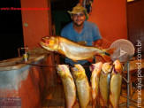 Pescadores de Maracaju, quem vê acredita......