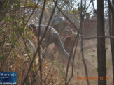 6ª Etapa do Estadual de Enduro em Maracaju