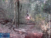 6ª Etapa do Estadual de Enduro em Maracaju
