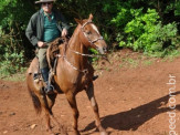 5ª Cavalgada a Nossa Senhora Aparecida em Maracaju "2º dia"