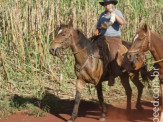 5ª Cavalgada a Nossa Senhora Aparecida em Maracaju "2º dia"