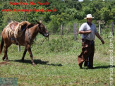 5ª Cavalgada a Nossa Senhora Aparecida em Maracaju