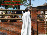 5ª Cavalgada a Nossa Senhora Aparecida em Maracaju