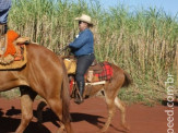 5ª Cavalgada a Nossa Senhora Aparecida em Maracaju "2º dia"