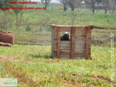 Inauguração da mais nova área de lazer em Maracaju o Shooter Paintball