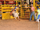 6ª Etapa Rodeio Nacional - 2º Dia