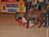 6ª Etapa Rodeio Nacional - 2º Dia