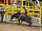 6ª Etapa Rodeio Nacional - 2º Dia