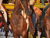 6ª Etapa Rodeio Nacional - 4º Dia