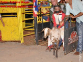 6ª Etapa Rodeio Nacional - 2º Dia