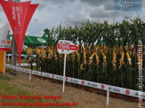 Showtec 2011