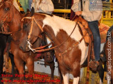 6ª Etapa Rodeio Nacional - 4º Dia
