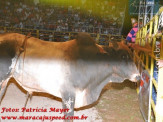 6ª Etapa Rodeio Nacional - 1º Dia