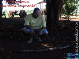 Cão luta com cobra Jiboia em Vila Vargas na cidade de Dourados “exclusivo”