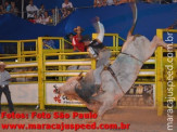 Rodeio 2012 1º dia