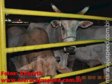 Rodeio 2012 1º dia