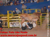 Rodeio 2012 1º dia