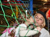 Aniversário de Amanda Gonçalves Azambuja