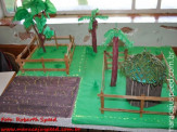 Fotos: Projeto de Leitura