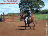 Curso de Doma realizado na Fazenda Deserto