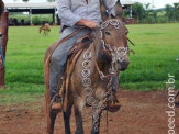 Curso de Doma realizado na Fazenda Deserto
