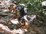 III Enduro Vô Zizo