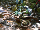 III Enduro Vô Zizo