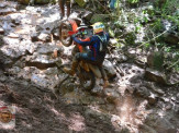 III Enduro Vô Zizo