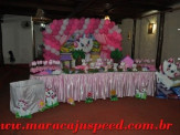 Aniversário do 1º aninho de Iris Eduarda Fernandes Karaczak