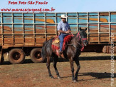 APAE de Maracaju e Comitiva Serra de Maracaju na 2ª Cavalgada APAEXONADOS