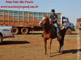 APAE de Maracaju e Comitiva Serra de Maracaju na 2ª Cavalgada APAEXONADOS