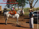 APAE de Maracaju e Comitiva Serra de Maracaju na 2ª Cavalgada APAEXONADOS