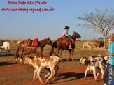 APAE de Maracaju e Comitiva Serra de Maracaju na 2ª Cavalgada APAEXONADOS